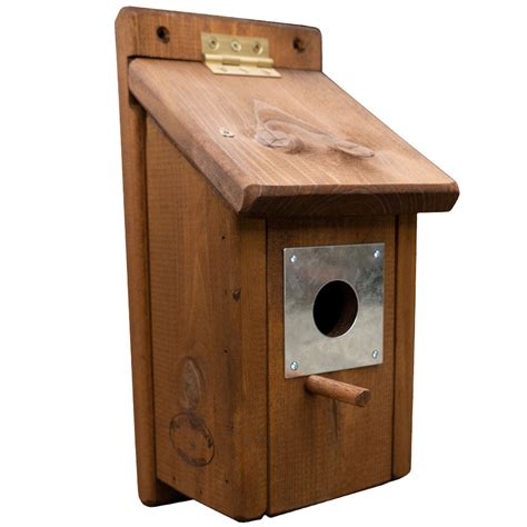 bird box metal plate|bird box holes for sale.